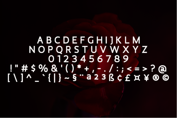 Malibo Extra Bold Font preview 4