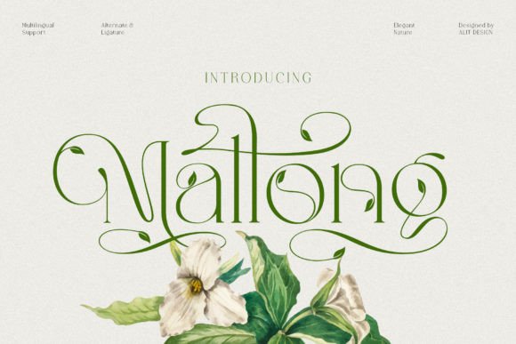 Mallong Font