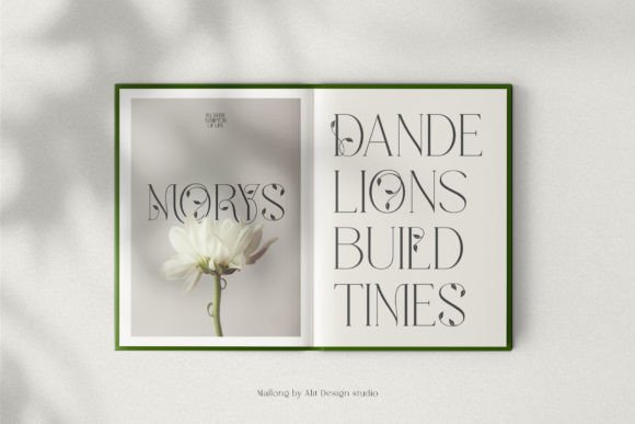 Mallong Font preview 3