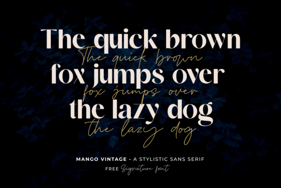 Mango Vintage Font preview 3