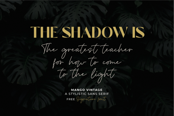 Mango Vintage Font preview 4