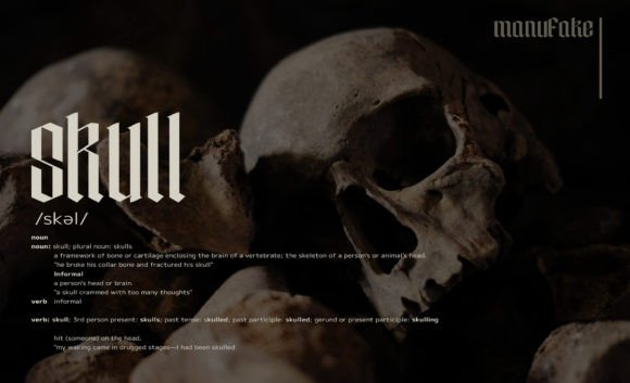 Manufake Font preview 3