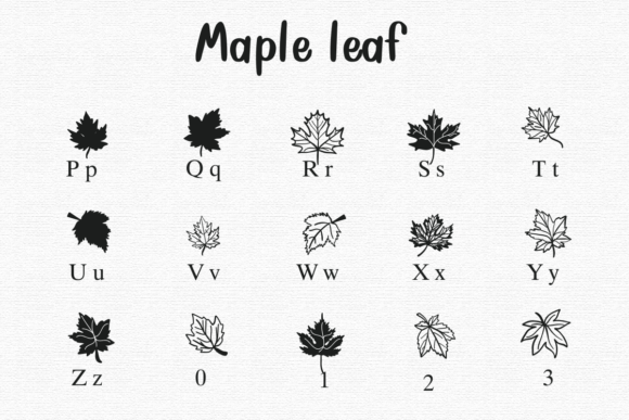 Maple Leaf Font preview 4