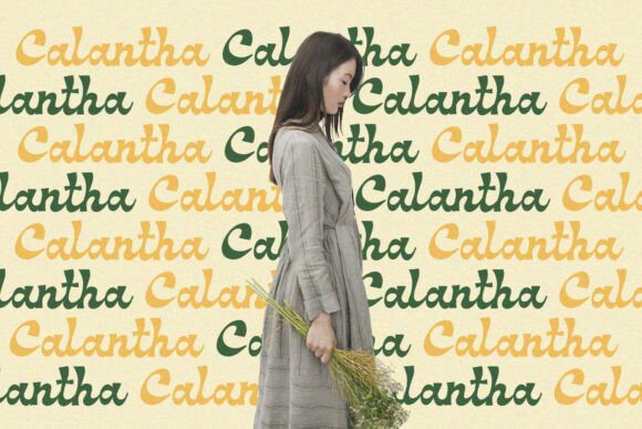 Meadow Font preview 3