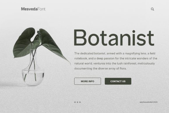 Mesveda Font preview 3