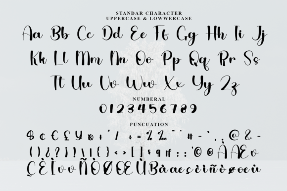Midnight Font preview 8