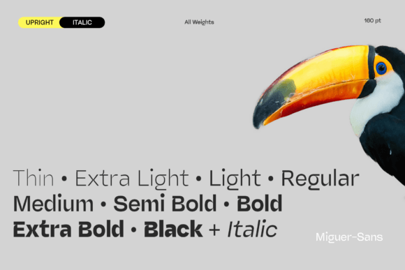 Miguer Font preview 3