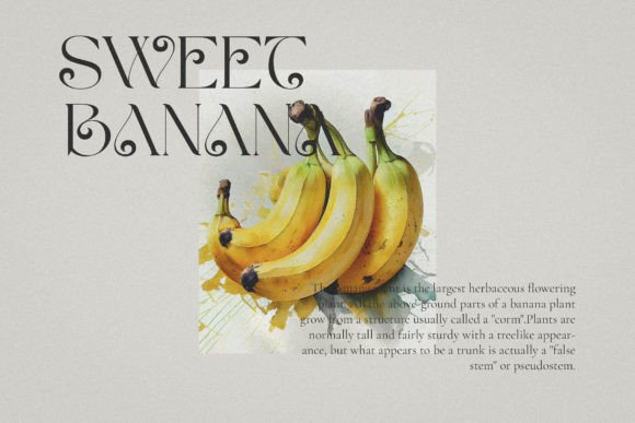 Milven Font preview 4