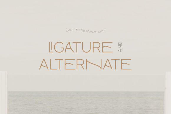 Monocole Font preview 3