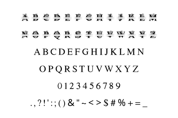 Monogram Flower Font preview 4