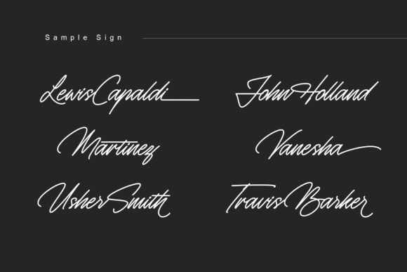 Monosign Font preview 4