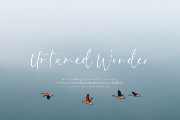Affection Font preview 3