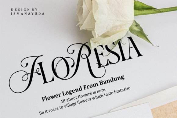 Mori Harmony Font preview 4