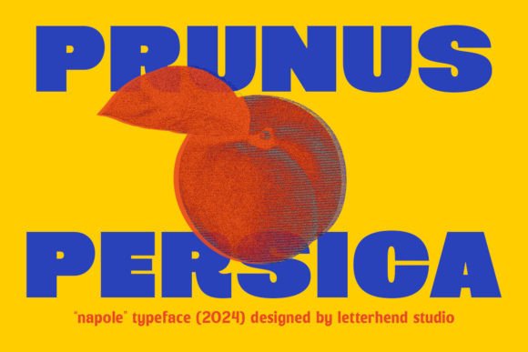 Napole Font preview 3