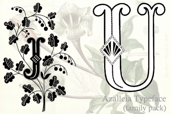 Azalleia Typeface Family Pack Font preview 3