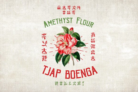 Neo China Font preview 4