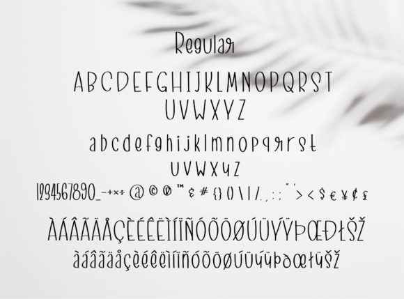 New York Night Font preview 2