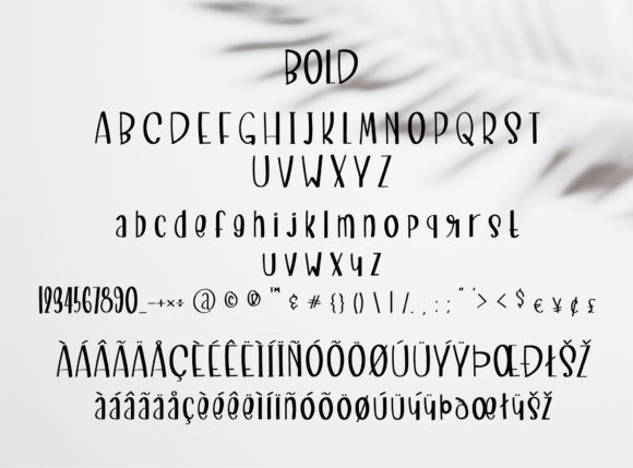New York Night Font preview 3
