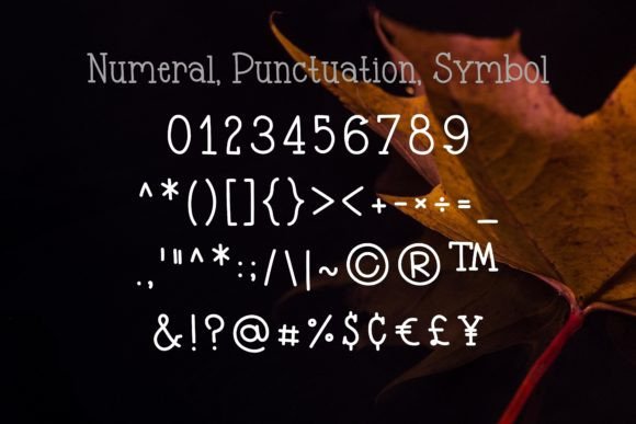 November Font preview 7