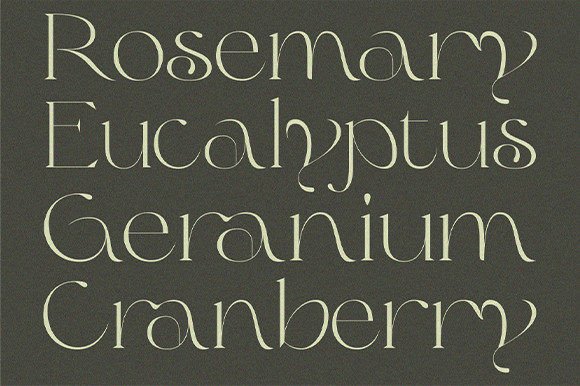 Olive & Citrus Font preview 2