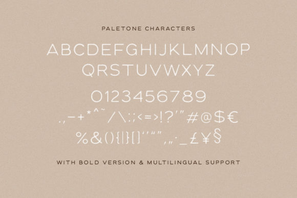Paletone Font preview 2