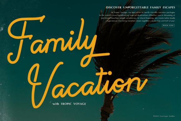 Paradise Gallaiso Font preview 2