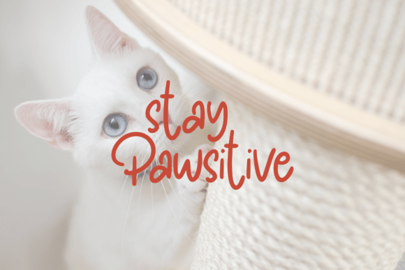 Pawty Tales Handwritten Font preview 2