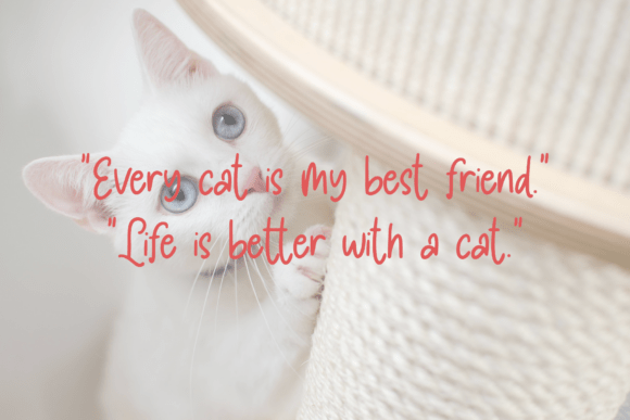 Pawty Tales Handwritten Font preview 3