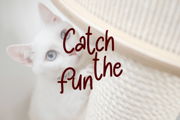 Pawty Tales Handwritten Font preview 4