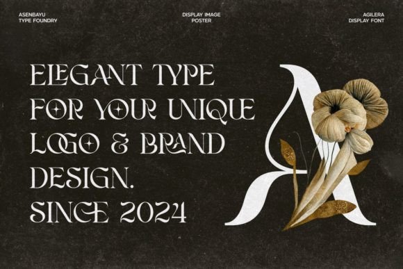 Agilera Font preview 3