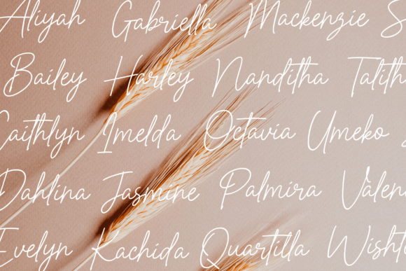Perfect Beloved Font preview 2