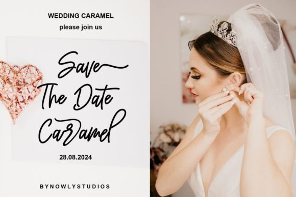 Ameliany Signature Font preview 4