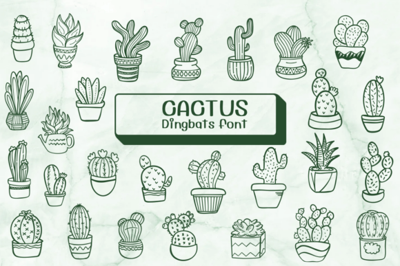 Cactus Font