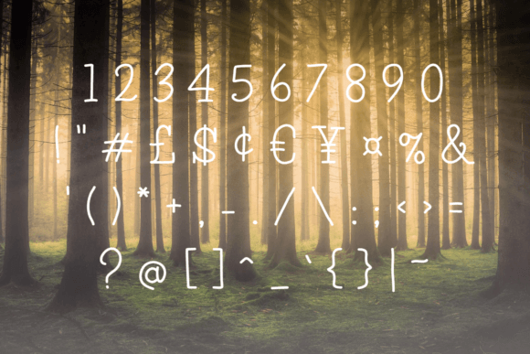 Pine Tall Font preview 3