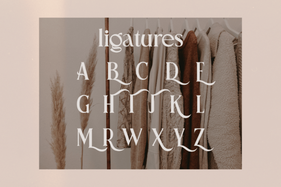 Pioneer Boulevard Font preview 3