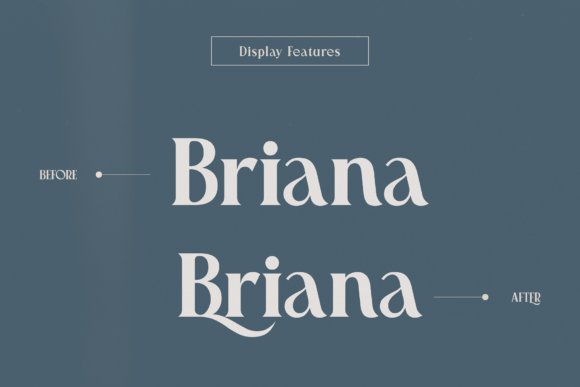 Pioneer Boulevard Font preview 4