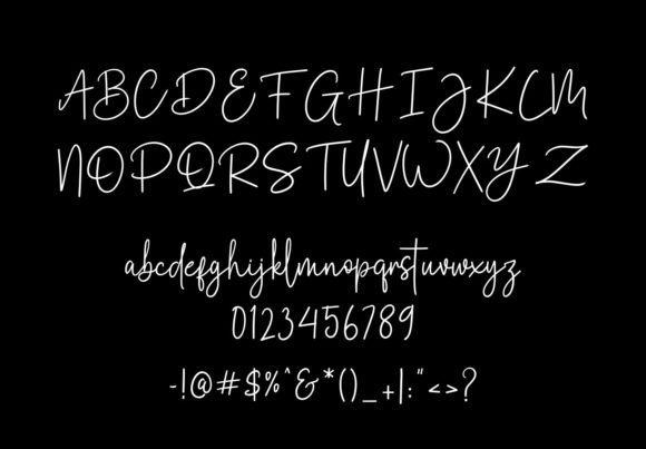 Premium Signature Font preview 4