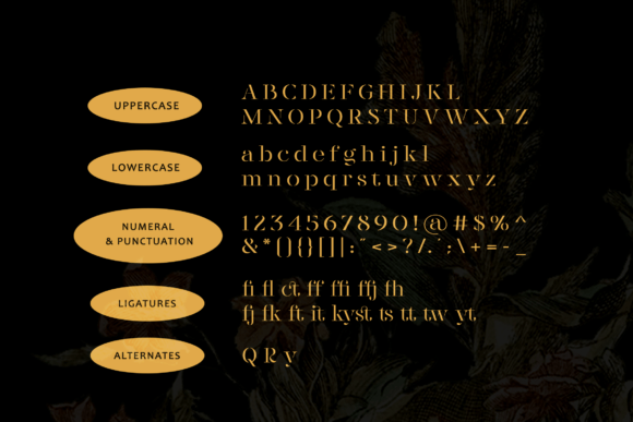 Quandra Font preview 2