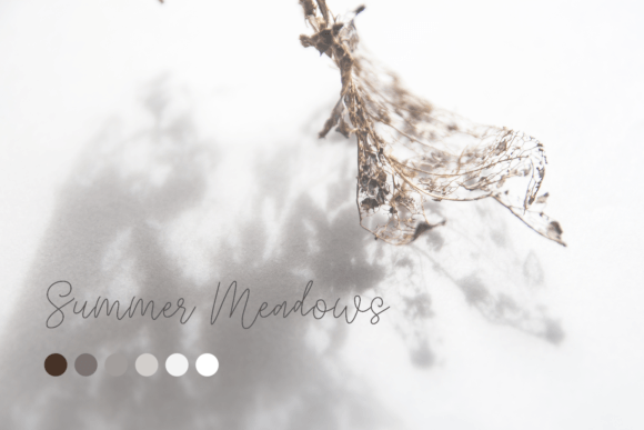 Quietly Rose Font preview 2