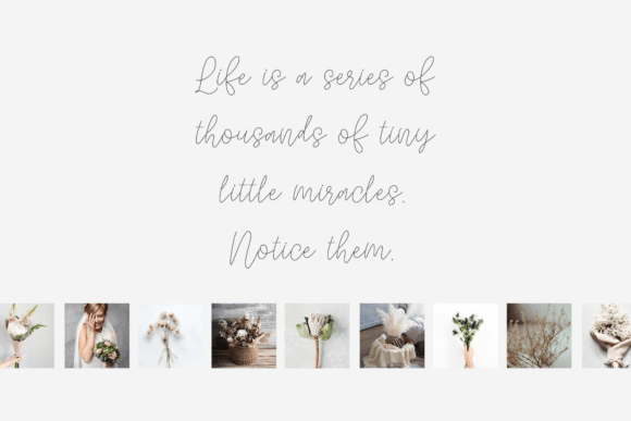 Quietly Rose Font preview 3