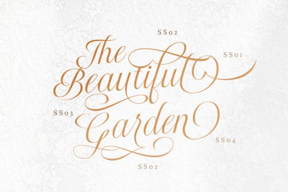 Radiate Script Font preview 4