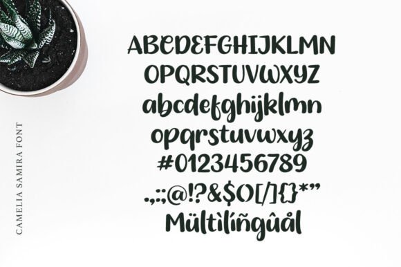 Camelia Samira Font preview 4
