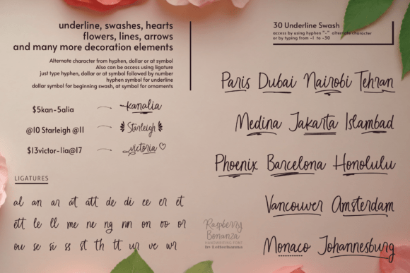 Raspberry Bonanza Font preview 2
