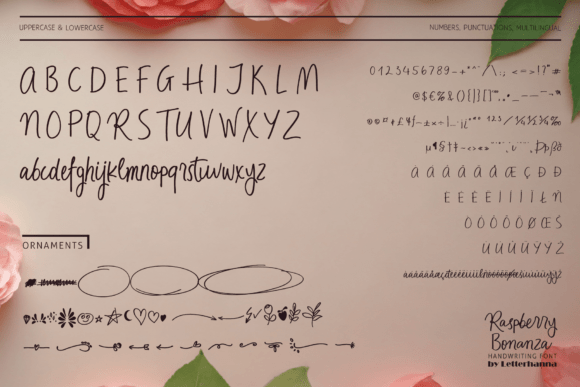 Raspberry Bonanza Font preview 3
