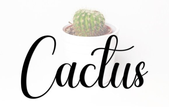 Amellia Font preview 3