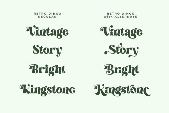 Retro Dingo Font preview 2