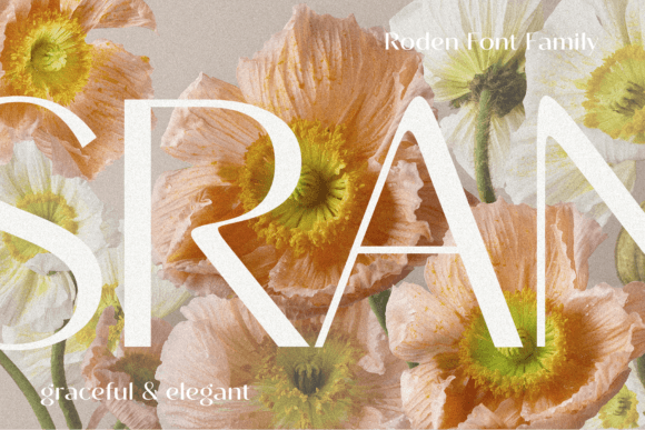 Roden Font preview 2