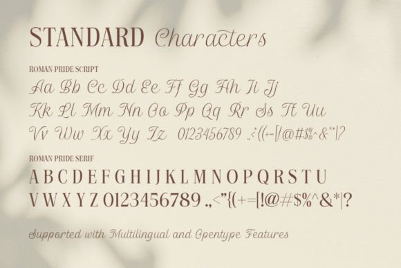 Roman Pride Duo Font preview 4