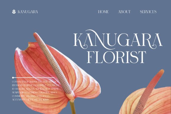 Ronica Font preview 2