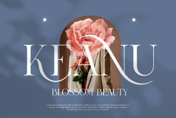 Ronica Font preview 4
